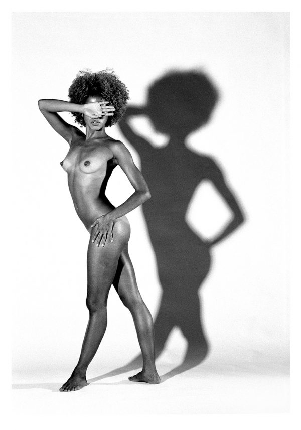 50 x 70 cm Camera Shy - a10425