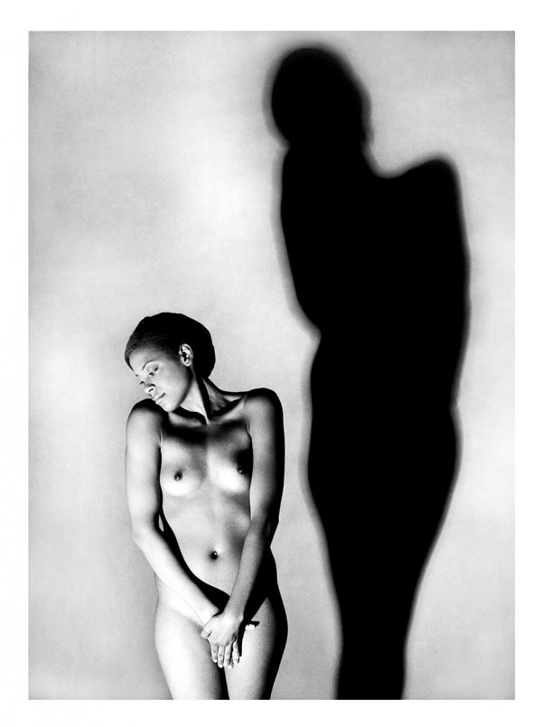 30 x 40 cm Shy Shadow - a10696