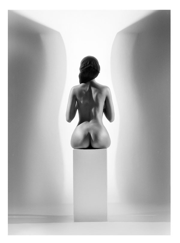70 x 90 cm The Stamp - a10981