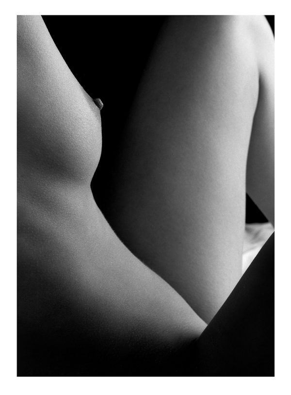 30 x 40 cm Profile Torso - a11786