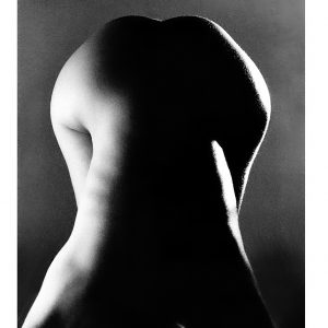 30 x 40 cm The Fe Male Form - c12707