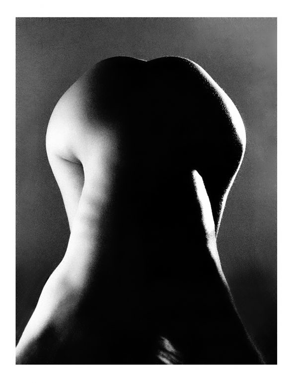 30 x 40 cm The Fe Male Form - c12707