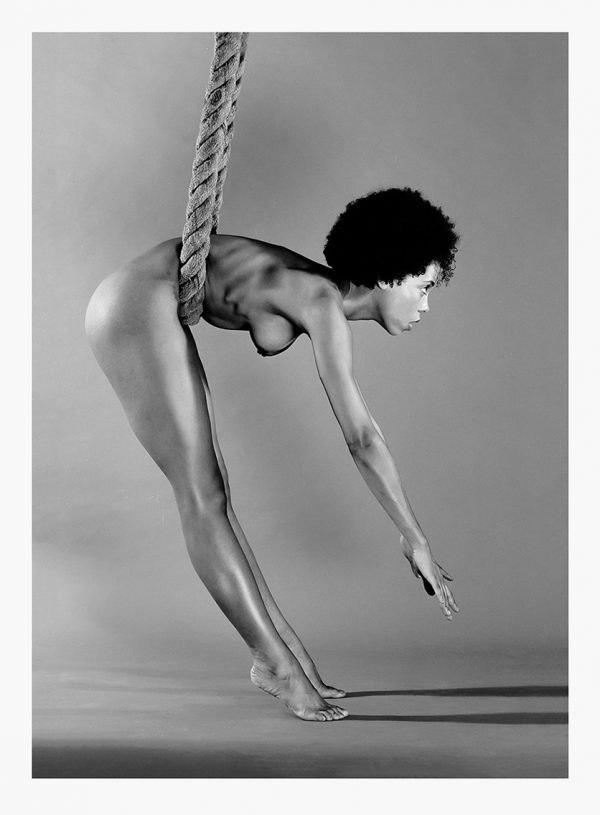 30 x 40 cm Parallel Swing - d14629